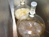 AHB Blog: Three Fermentations and Planning Fall 2014 German&nbsp;Lagers