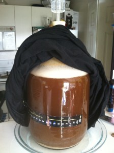 Craft A Brew Brown Ale
