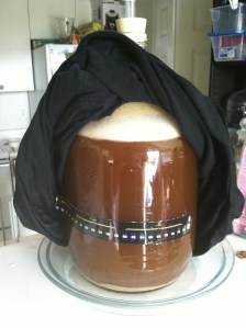 Craft A Brew Brown Fermentation