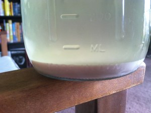 Rinsed yeast from previous batch. These have less viability when compared to lab-grown cultures.